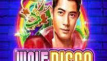 Wolf Disco