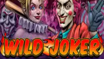Wild Joker