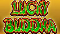 Lucky Buddha