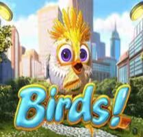 Birds