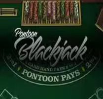 Pontoon