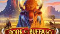  Book of Buffalo