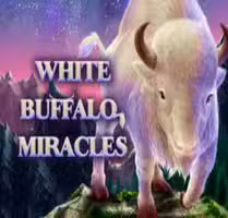 White Buffalo Miracles
