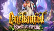 Enchanted: Forest Of Fortune