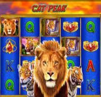  Cat Peak