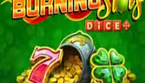 Burning Slots Dice