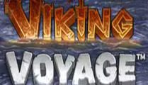 Viking Voyage