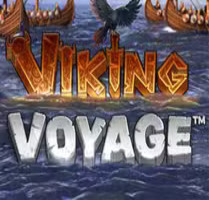 Viking Voyage