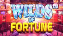 Wilds Of Fortune