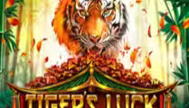 Tiger’s Luck — Hold & Win