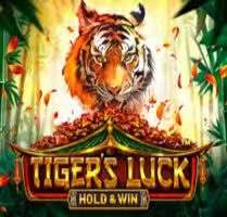 Tiger’s Luck — Hold & Win