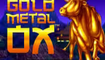  Gold Metal Ox