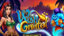 Wish Granted