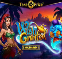 Wish Granted