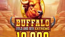 Buffalo Hold and Win Extreme 10,000