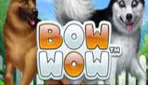 Bow Bow