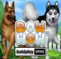 Bow Bow