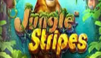 Jungle Stripes