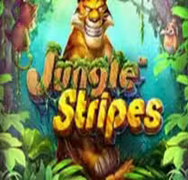 Jungle Stripes