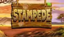 Stampede