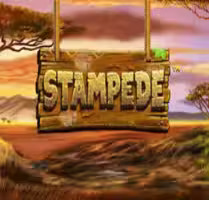 Stampede