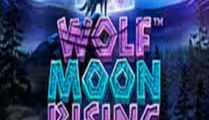 Wolf Moon Rising