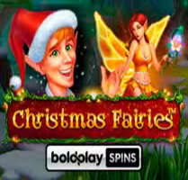 Christmas Fairies