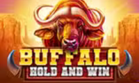 Buffalo Hold and Win