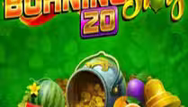 Burning Slots 20