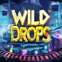 Wild Drops