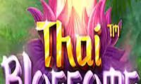 Thai Blossoms