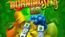 Burning Slots 40