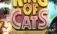 King of Cats