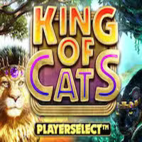 King of Cats