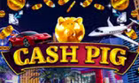 Cash Pig