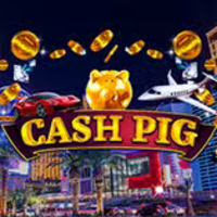 Cash Pig