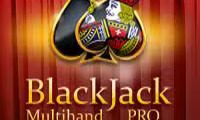 Multihand Blackjack Pro
