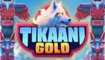  Tikaani Gold