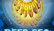 Deep Sea
