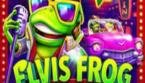 Elvis Frog in Vegas