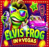 Elvis Frog in Vegas
