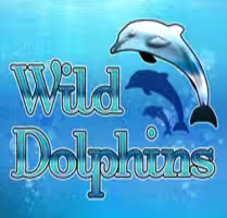 Wild Dolphins