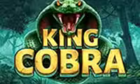 King Cobra