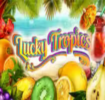  Lucky Tropics