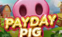 Payday Pig