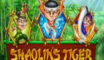 Shaolin’s Tiger