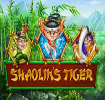 Shaolin’s Tiger