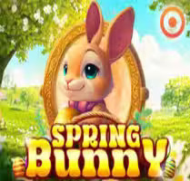 Spring Bunny