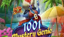1001 Mystery Genie Fortunes
