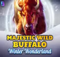 Majestic Wild Buffalo — Winter Wonderland